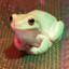 Okamiarisu ☯