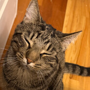 Closofy