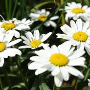 хотела в питер но получила в туз