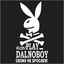 Play_Dalnoboy 52 rus