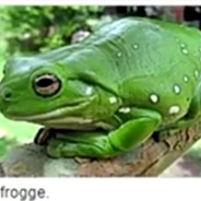 frogge gamer avatar