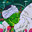 PICCOLO THE BETRAYER