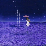 偷走你的满目星河