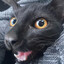 AmaGOD CSGOSKINS