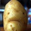 A Slightly Disappointed Potato