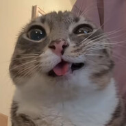 Deesty
