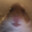Ham
