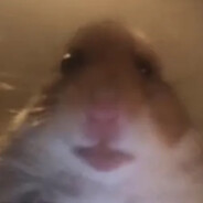 Ham