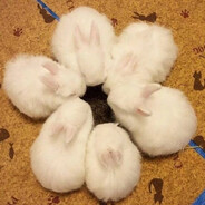 summoning circle