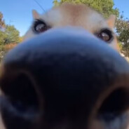 我不可能天胡的