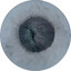 dabidibam's avatar
