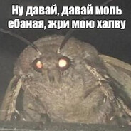 моль ебаная