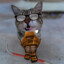 NeatCat