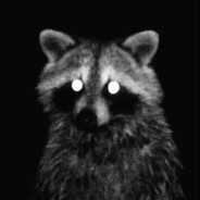 // $ - steam id 76561199002185069