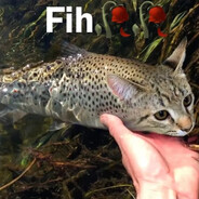 fih