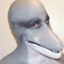 jiminey dolphin