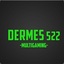 Dermes522