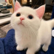 look