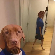 克斯维尔的明天