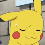 精灵宝可梦高手