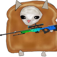 mat.dog111109