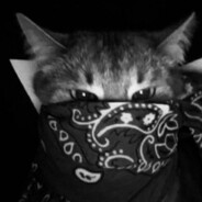 CowBoi