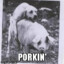 Porkin