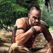 Vaas