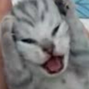 J.K.