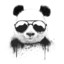 Cool PanDa