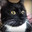 Tubby Kitty