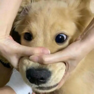 谁捂住了我的嘴