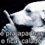 -TKz-