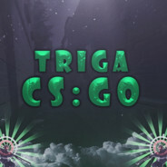 TrigA