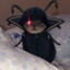 Shadow_Tier