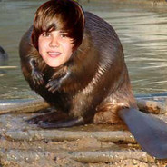 Justice Beaver