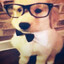 gamingdog
