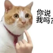 月上的猫