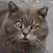 izelor - steam id 76561197992162631