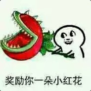 奖你一朵小红花