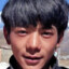杂中丁真