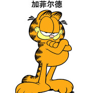 加菲尔德