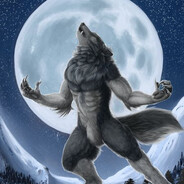 wolf15