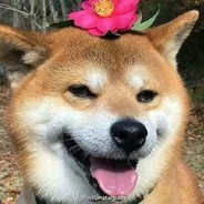 我住隔壁我姓王