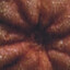 tight knot