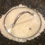 ricespiller