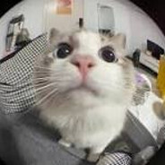 grandpas stiff socks