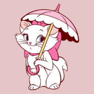 午夜心碎小猫咪