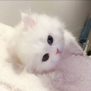 小晕快快显灵