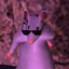 Мистер Rat